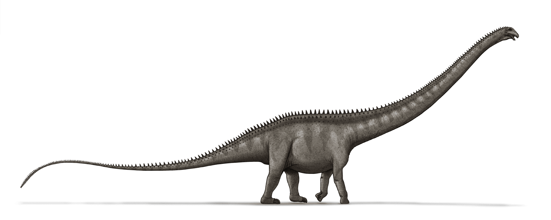 cuanto mide george