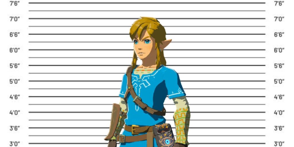 cuanto mide link
