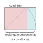¿Cuánto mide media cuartilla? cuanto-mide-media-cuartilla