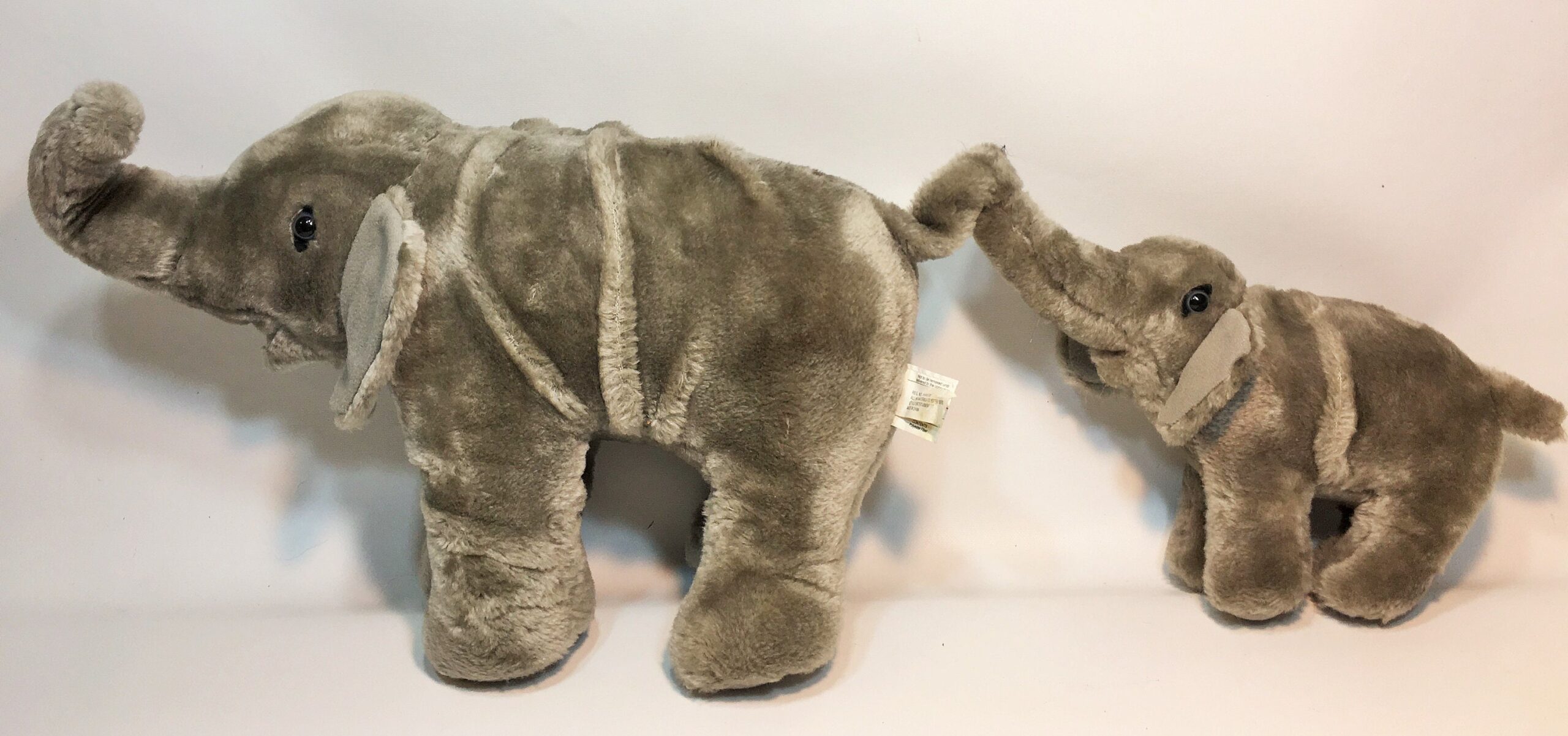 cuanto mide un elefante bebe scaled