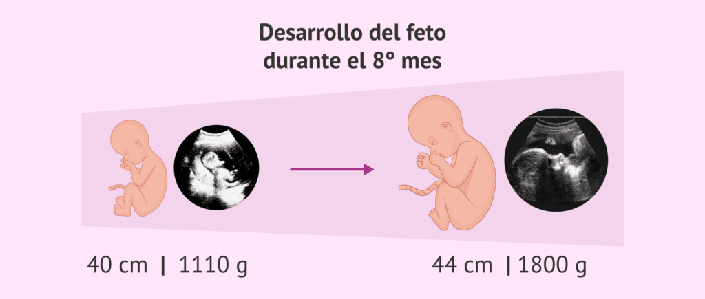 ¿Cuánto mide un octavo? 2 cuanto mide un octavo