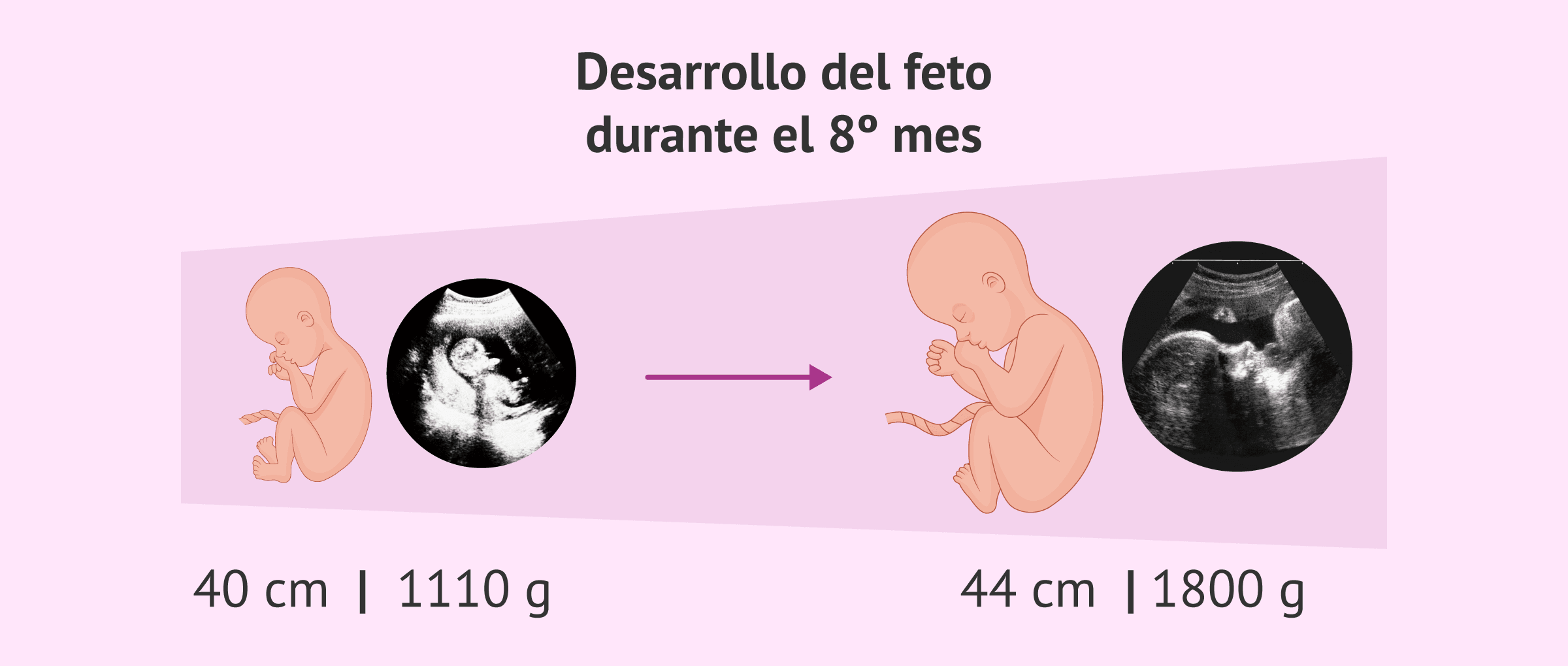 cuanto mide un octavo