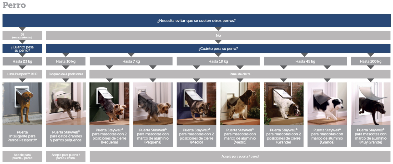 Blog 2 cuanto mide un perro