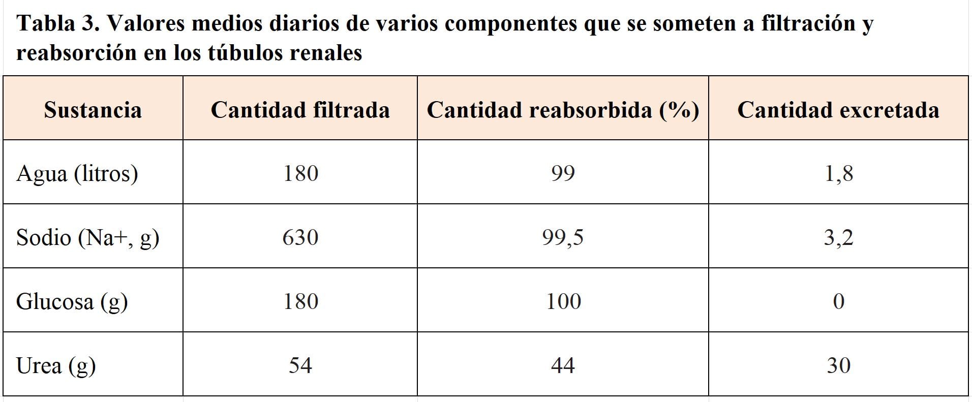 cuanto mide un rinon humano