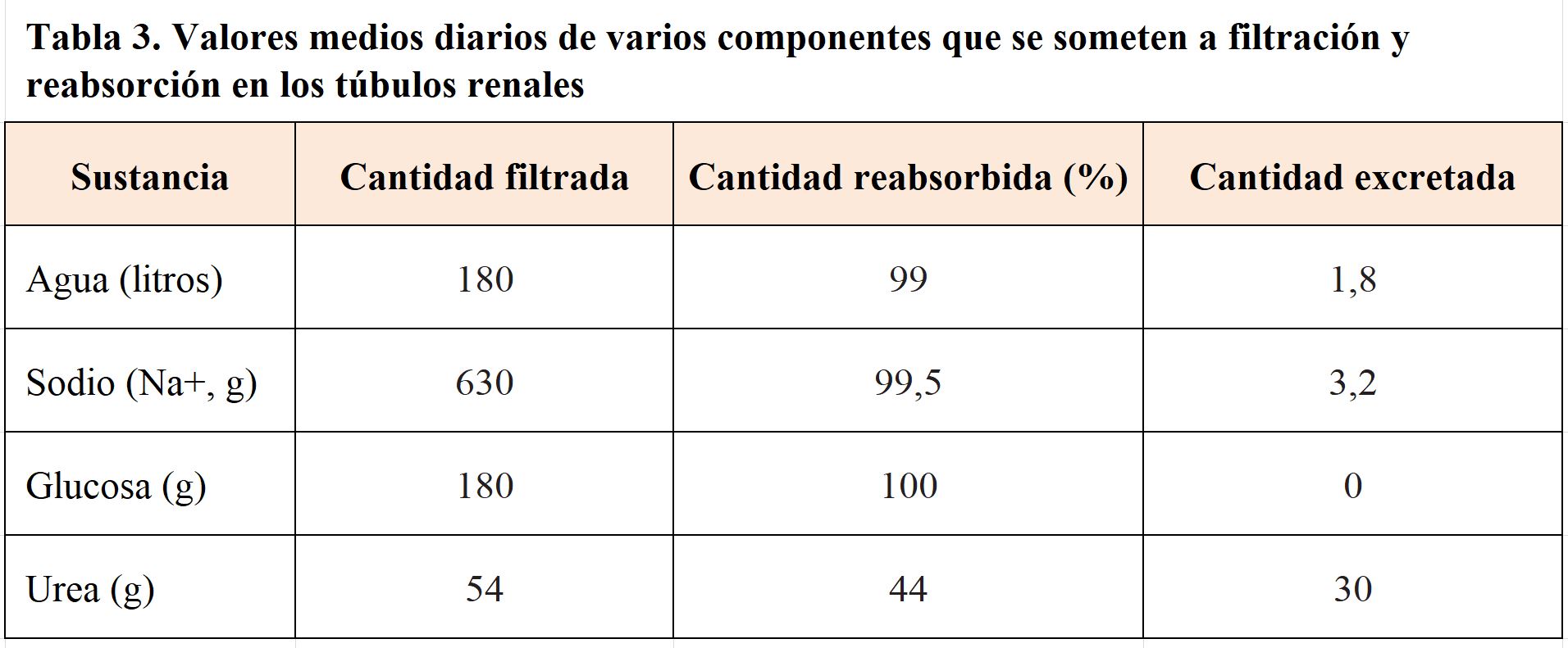 cuanto mide un rinon