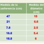 cuanto-mide-un-sacapuntas