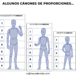 cuanto-mide-una-cabeza-humana