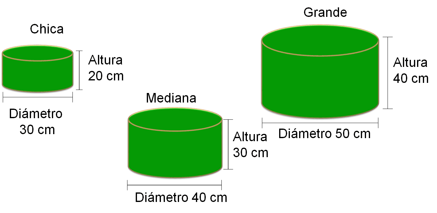 cuanto mide una cartulina en