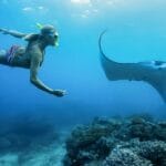 cuanto-mide-una-mantarraya