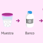 ¿Cuánto pagan por un testículo? cuanto-pagan-por-un-testiculo