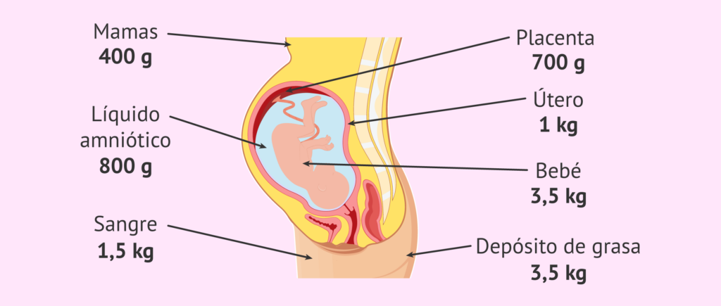cuanto pesa la placenta