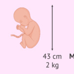 cuanto-pesa-mi-cabeza-meme