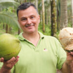 ¿Cuánto pesa un coco? cuanto-pesa-un-coco