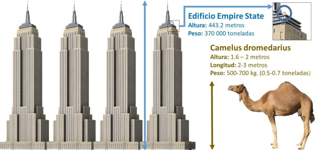 ¿Cuánto pesa un edificio? 2 cuanto pesa un edificio