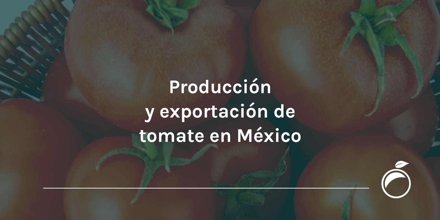 cuanto pesa un jitomate saladette