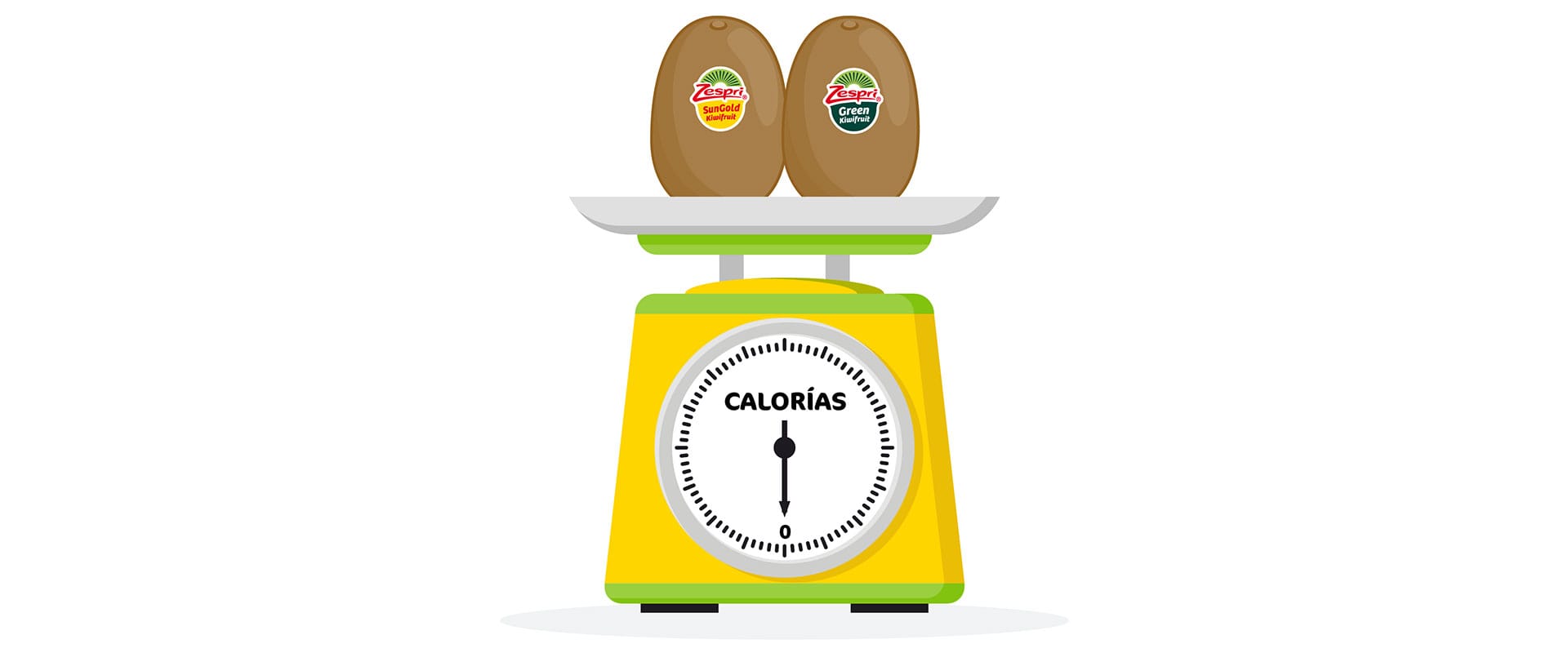 Blog 4 cuanto pesa un kiwi