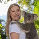¿Cuánto pesa un koala? cuanto-pesa-un-koala