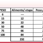 cuanto-pesa-un-lechon