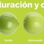 cuanto-pesa-un-limon-tahiti
