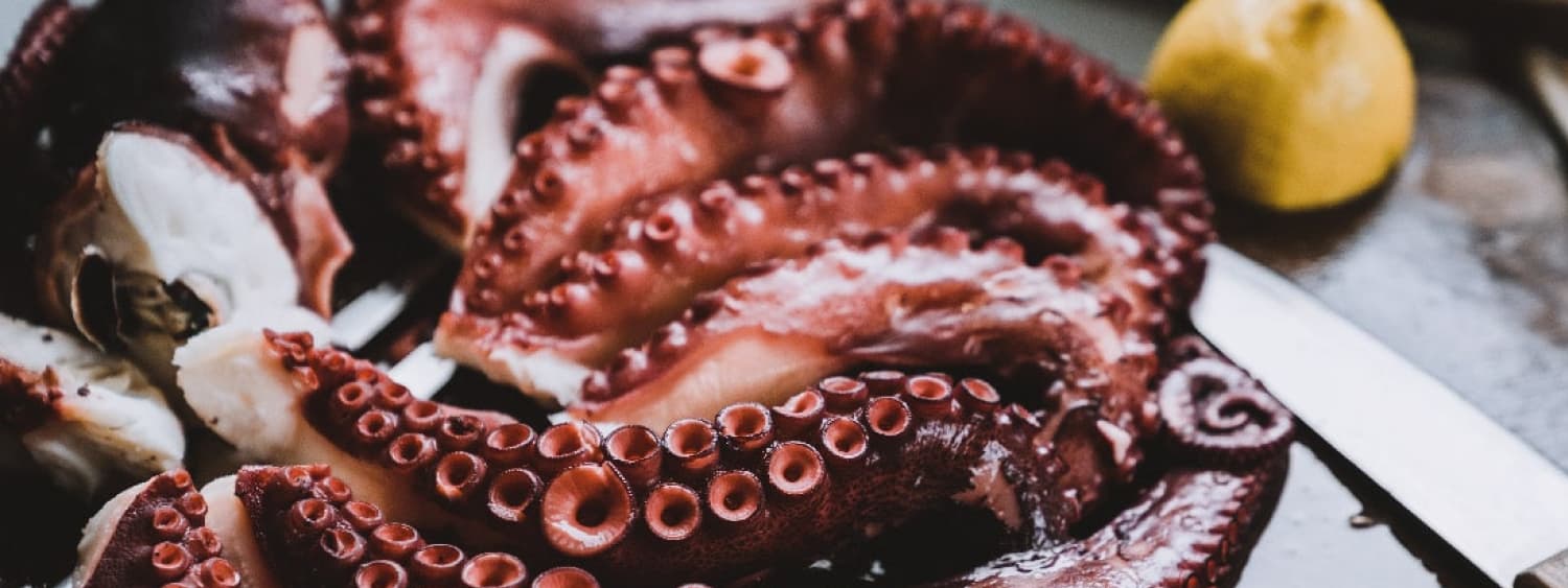 cuanto pesa un pulpo