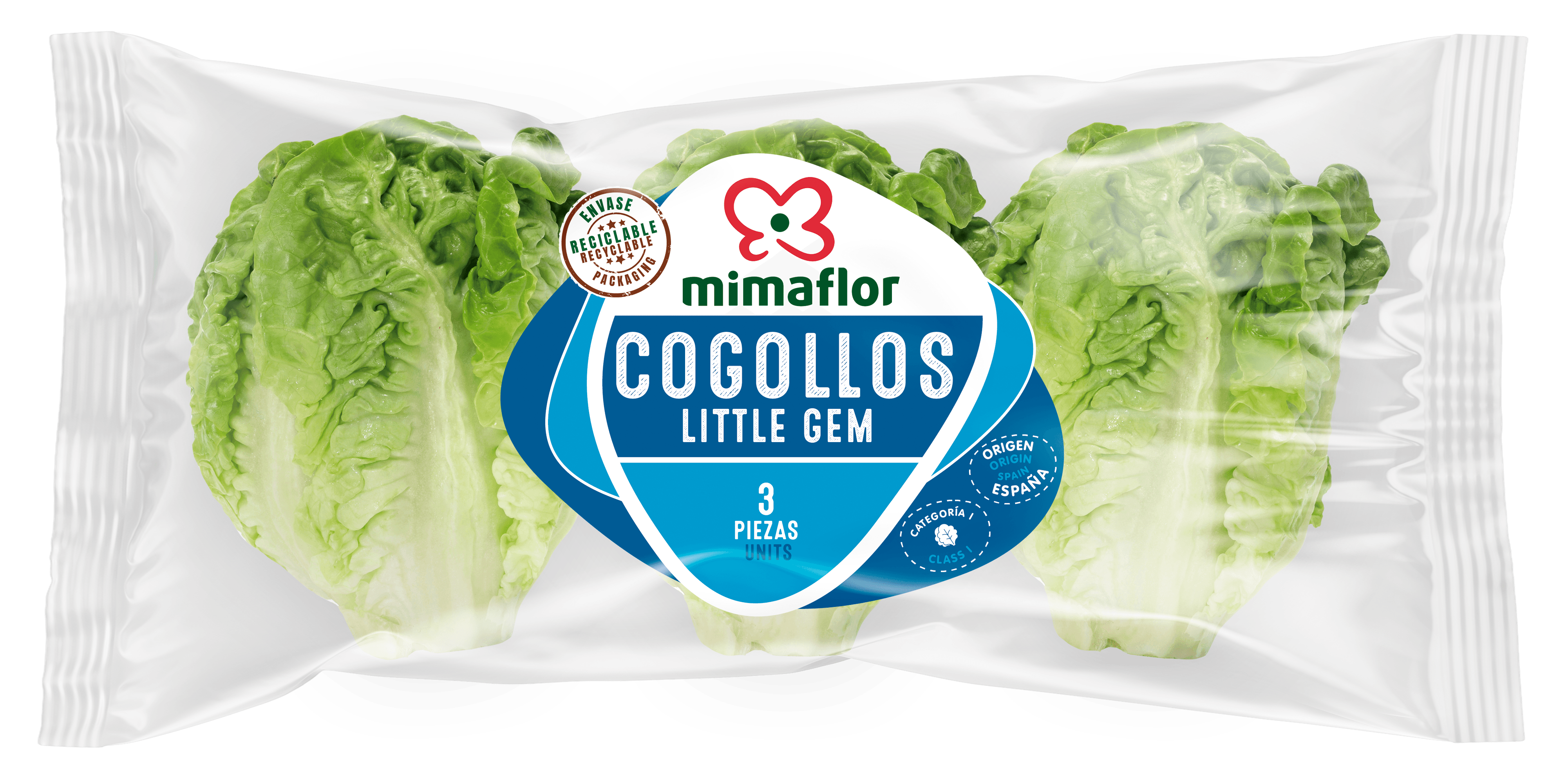 Blog 8 cuanto pesa una lechuga romana