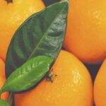 ¿Cuánto pesa una mandarina? cuanto-pesa-una-mandarina