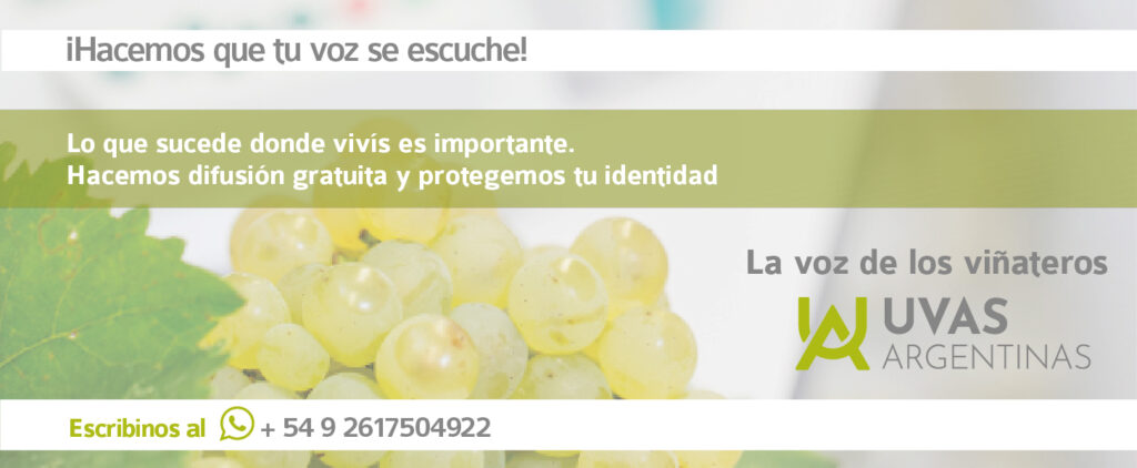 cuanto pesa una uva