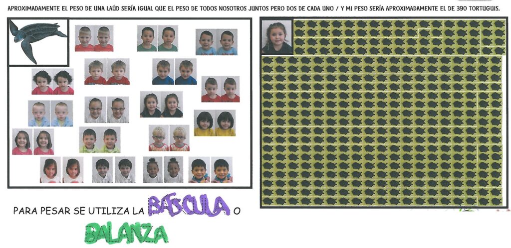 ¿Cuánto pesan las tortugas? 2 cuanto pesan las tortugas