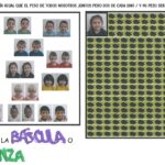 cuanto-pesan-las-tortugas