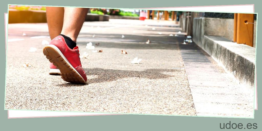 cuanto puede saltar una pulga