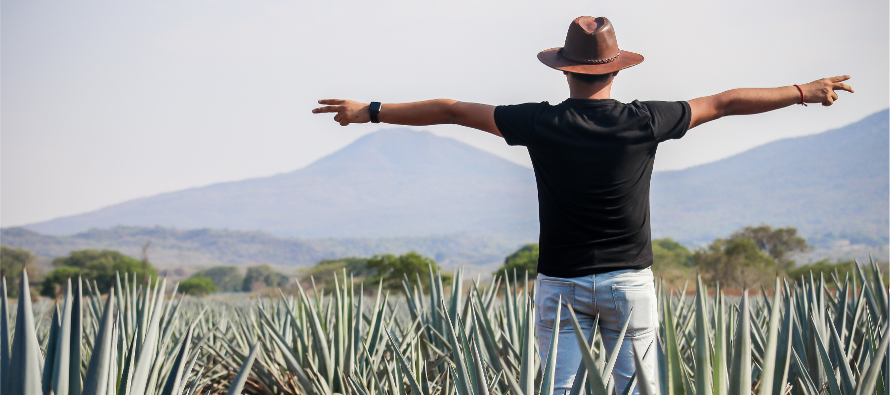 cuanto sale ir a tequila
