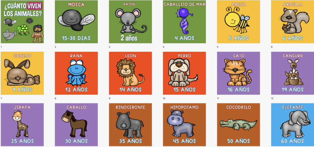 cuanto tiempo viven las ardillas