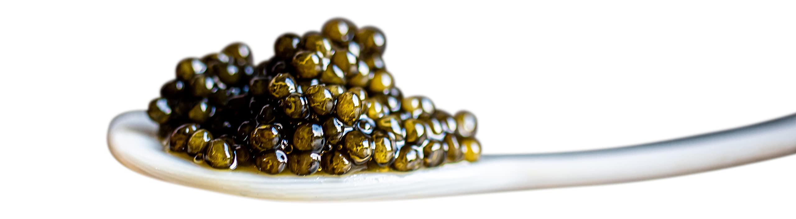 Blog 6 cuanto vale el caviar