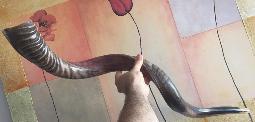 cuanto vale un shofar