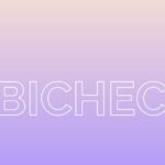 cuanto-vale-una-bichectomia