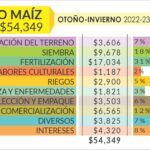 cuanto-vale-una-hectarea