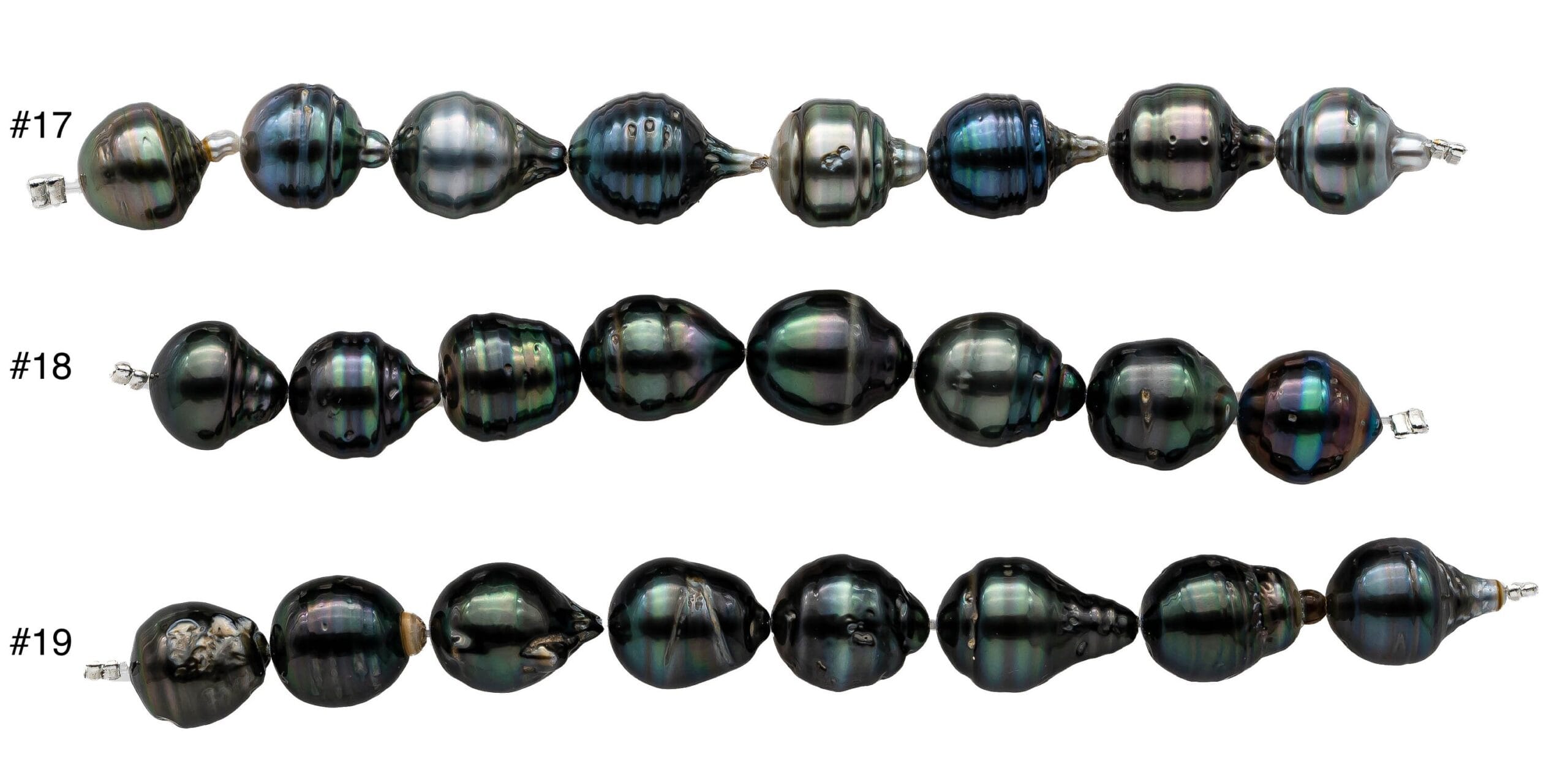 Blog 12 cuanto vale una perla negra scaled