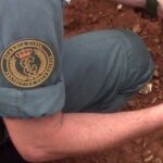 cuanto-vale-una-tortuga