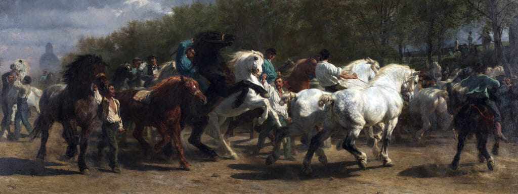 cuanto vive un caballo domestico