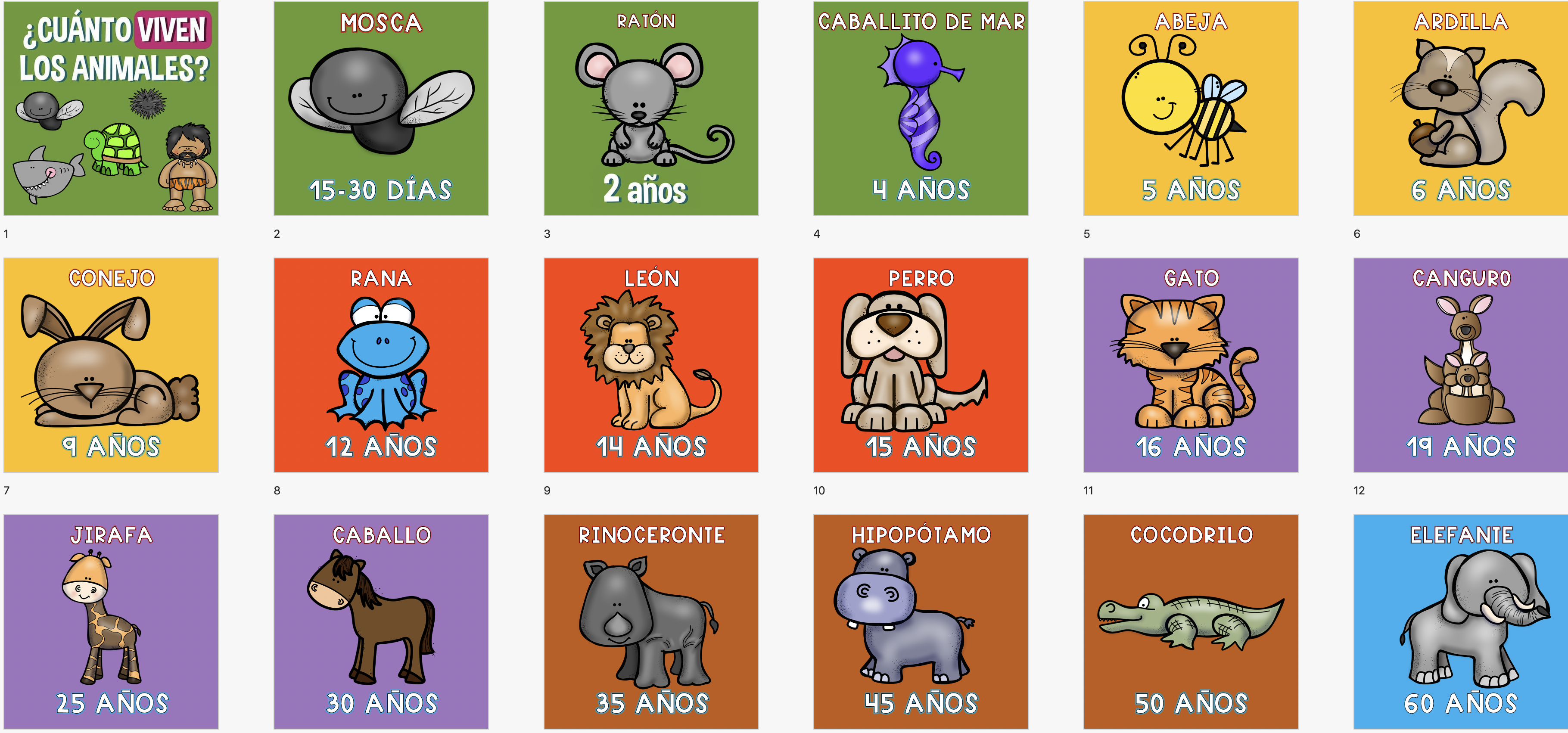 cuanto vive un oso