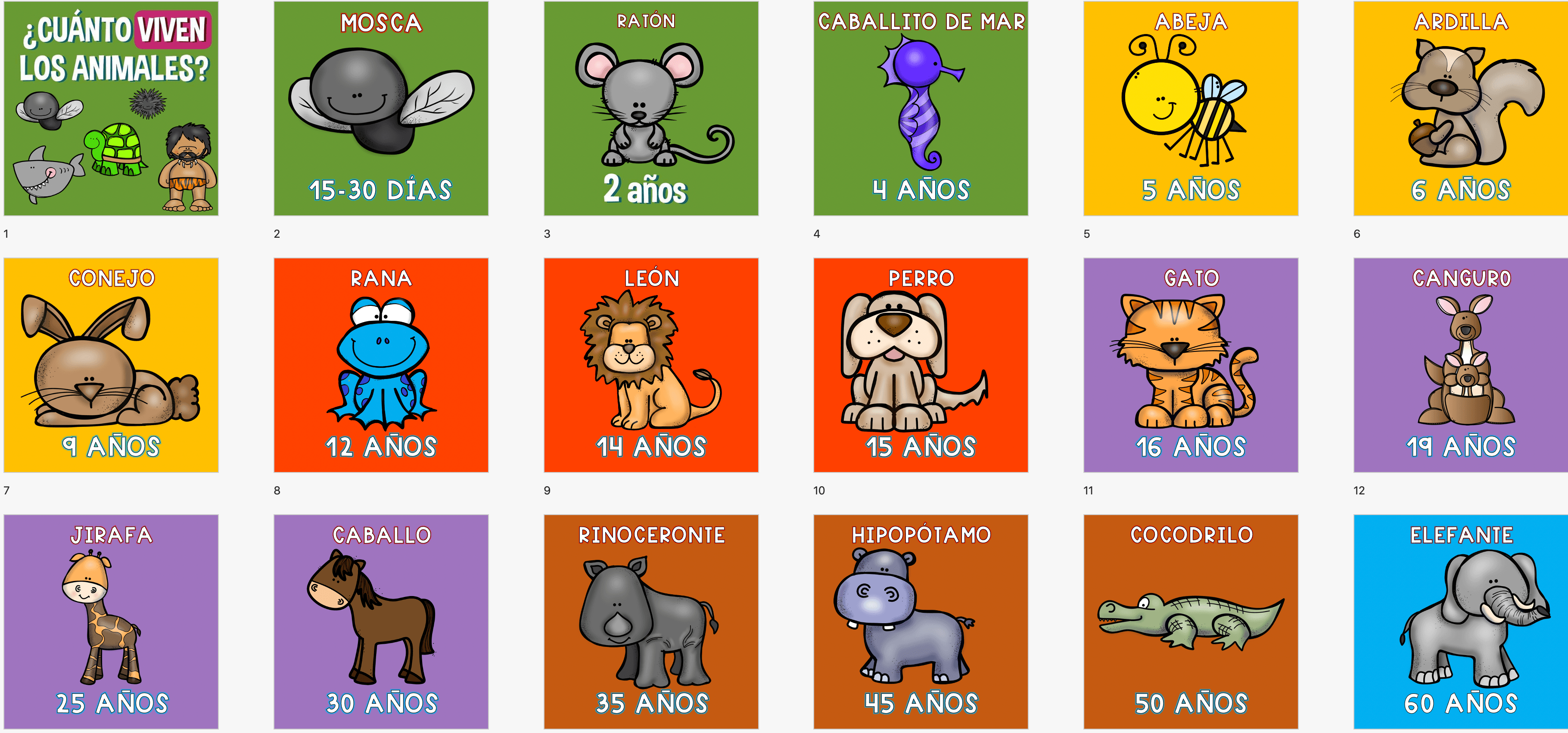 cuanto viven los animales