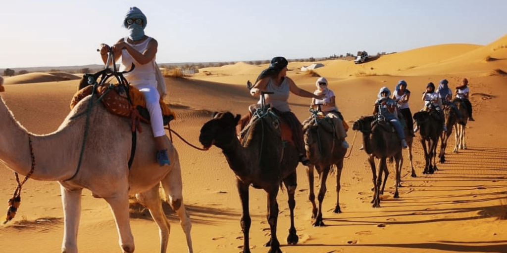 cuanto viven los camellos