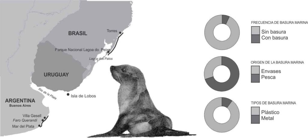 cuanto viven los lobos marinos