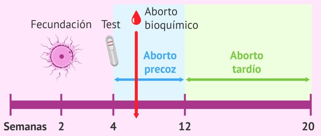 cuantos abortos se pueden tener