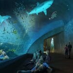 cuantos-acuarios-hay-en-mazatlan