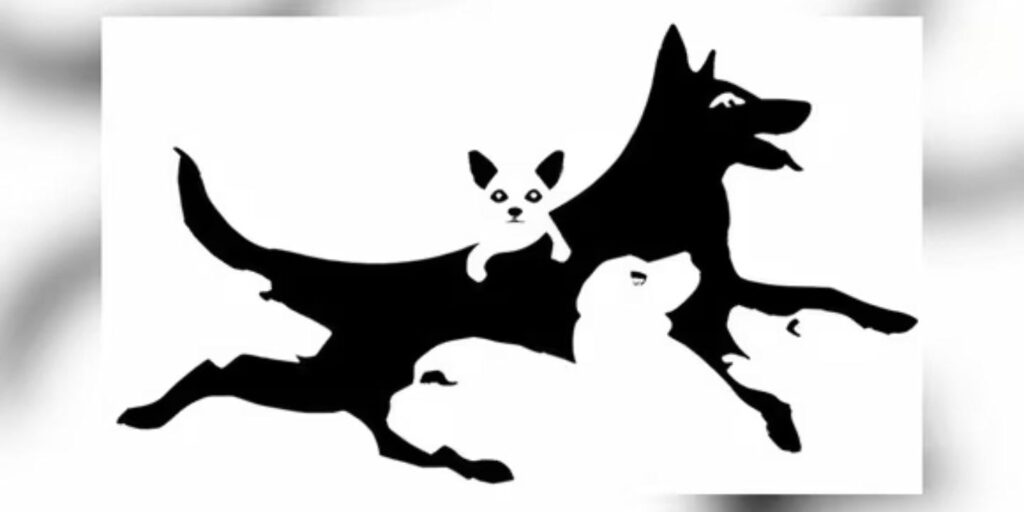 cuantos animales ves