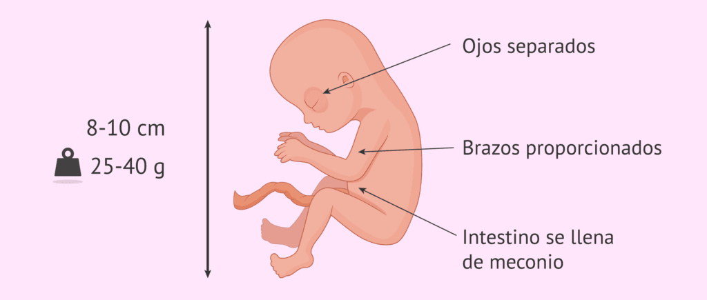 cuantos anos son 60 meses