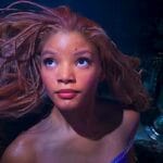 cuantos-anos-tiene-ariel