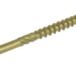 cuantos-anos-tiene-el-tornillo