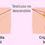 cuantos-anos-tiene-lizy-p